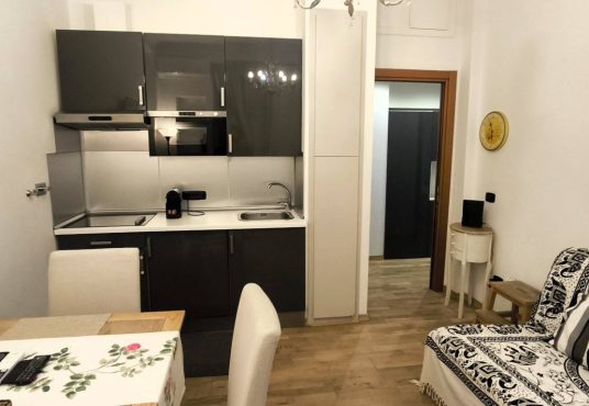 affitto bilocale san giovannoi roma